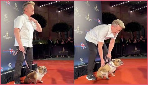 Does Gordon Ramsay Have Any Dogs?